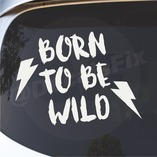 Off Road  Decals WILD 4x4 Decal Stickers Truck CAMPER MotorHome -308