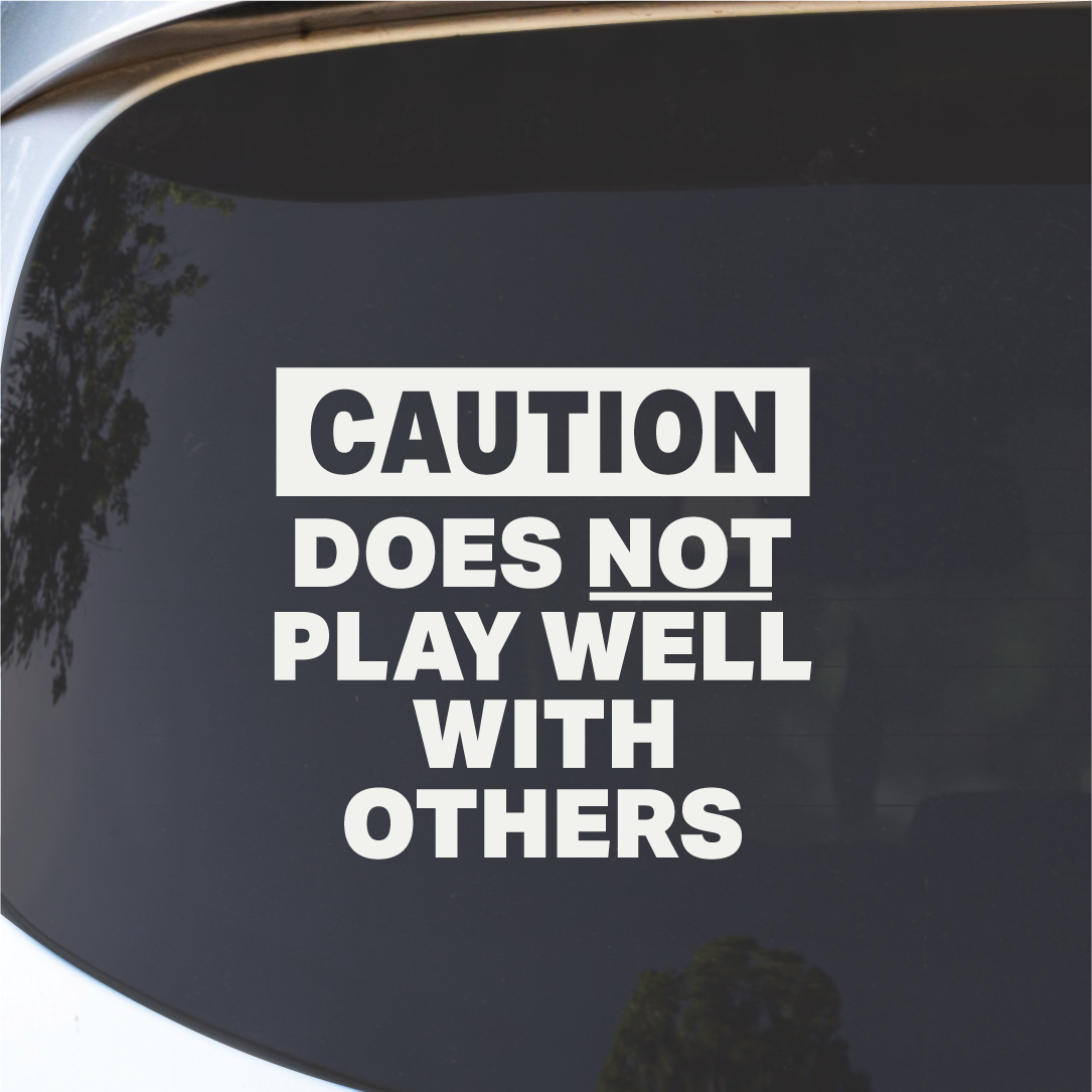 DOES NOT PLAY WELL FUNNY CAR LAPTOP DECALS WINDOW VAN CAMPER VINYL BUMPER -258