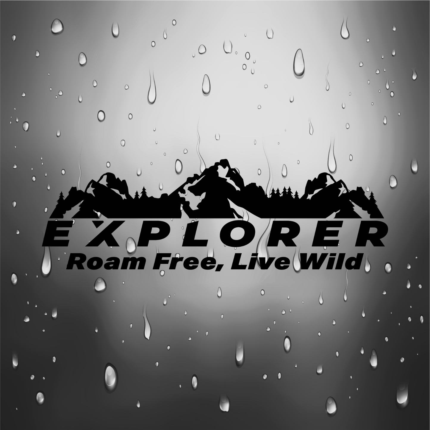 Graphic design detail of the mountain graphic and Explorer text in black and white.
